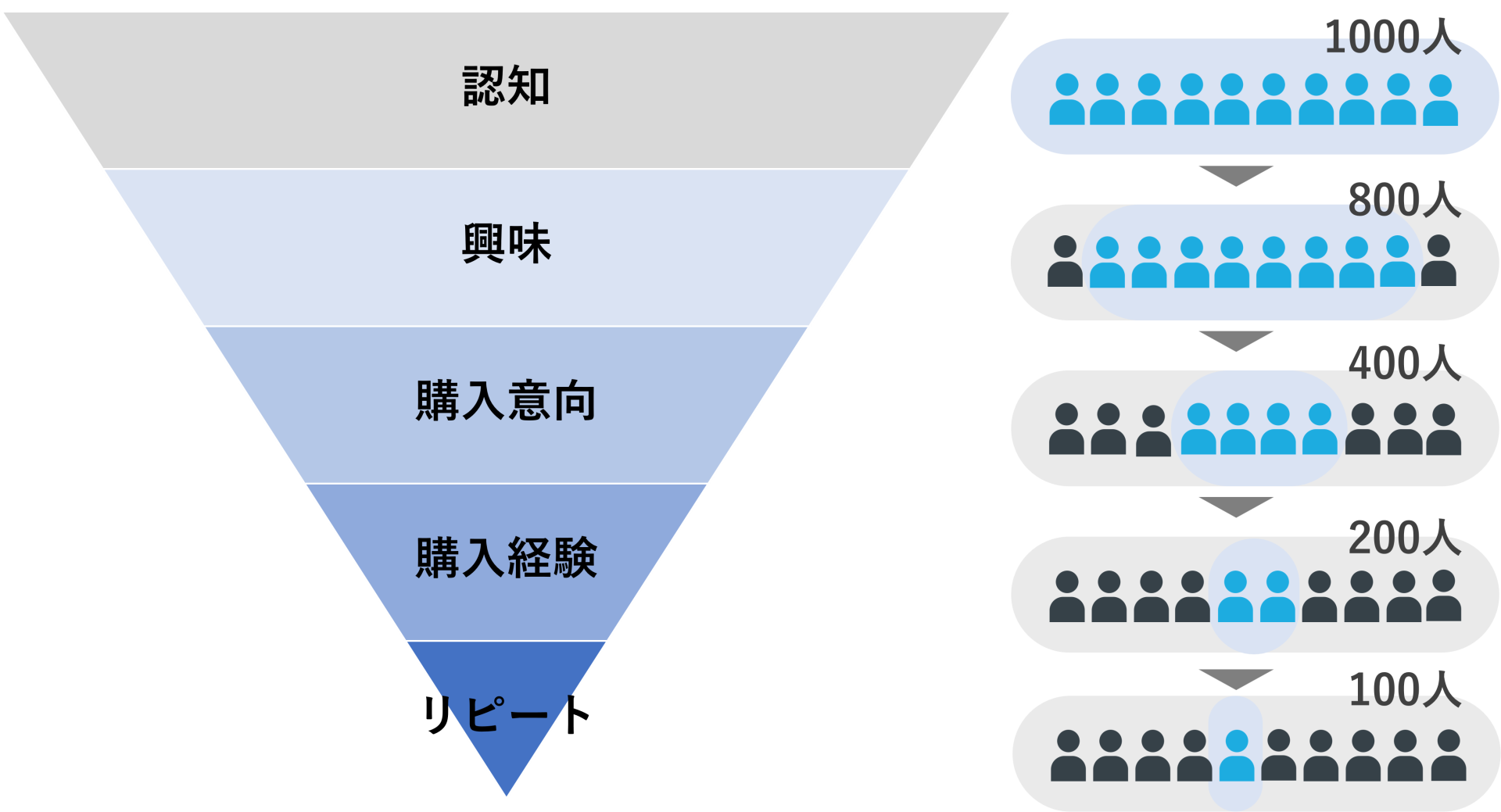 マーケティングファネルの種類、構造からファネル分析までリサーチ会社